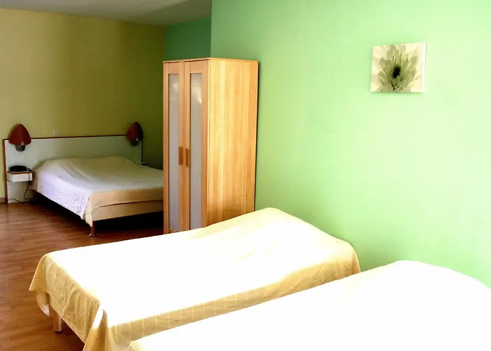 In Jungle Hotel