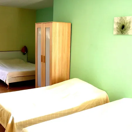 In Jungle Hotel